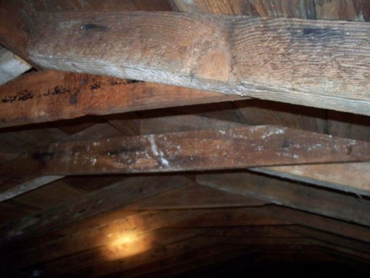 Soffit And Fascia Repair Soffit And Fascia Repair